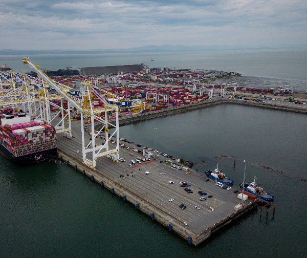 republicans-push-back-on-trump-beef-imports-canada-tariffs
