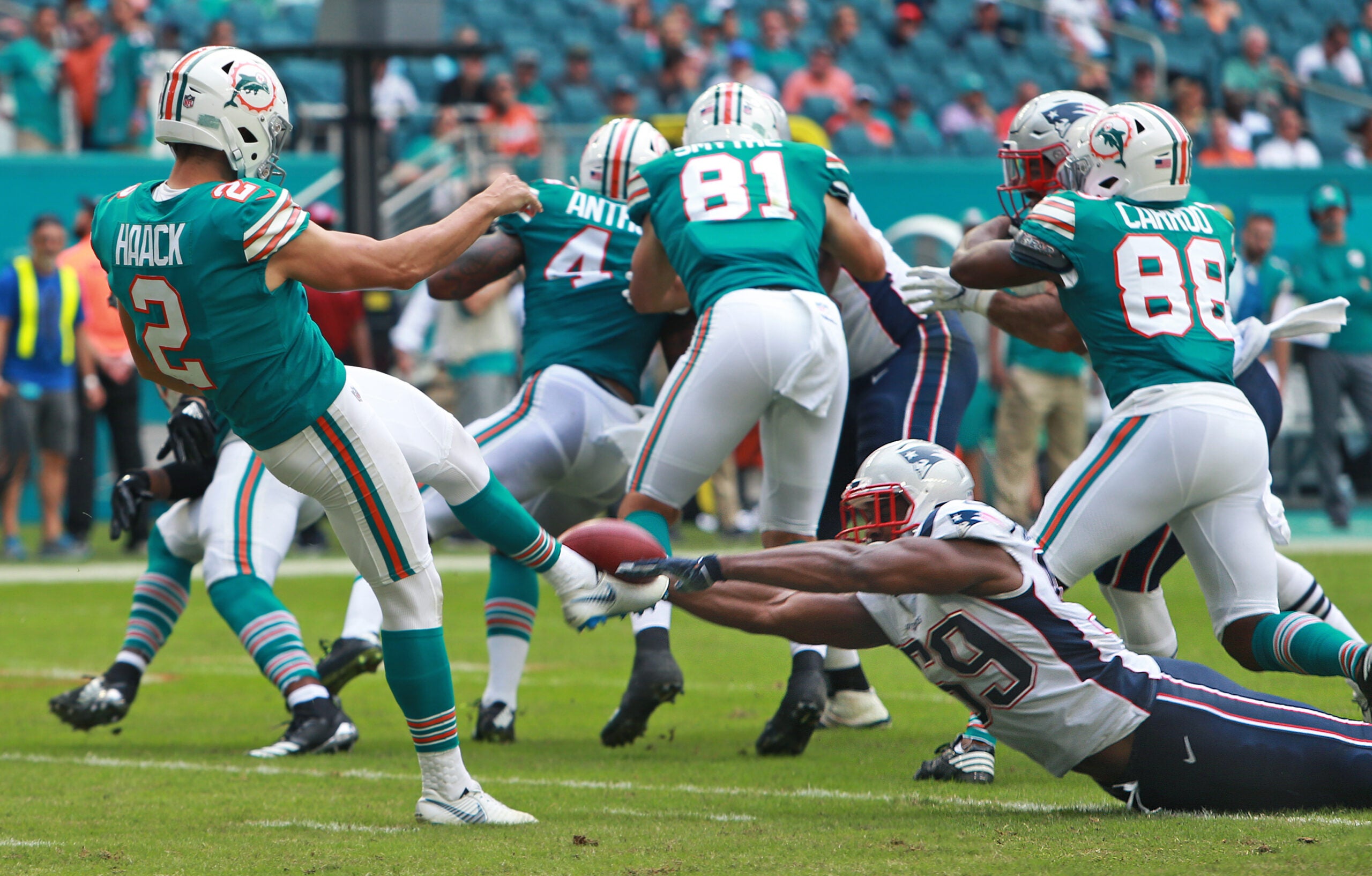 patriots-sign-punter-matt-haack-following-bryce-baringer-s-injury