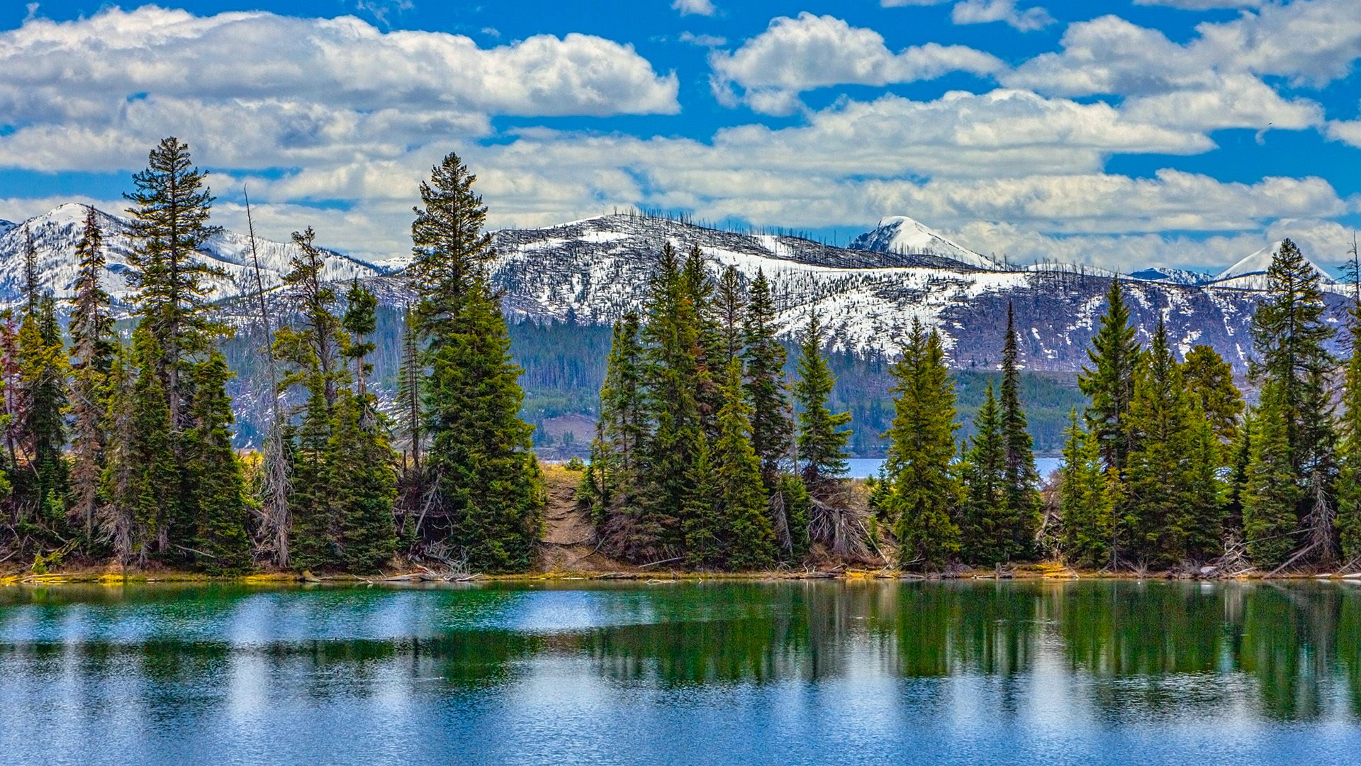 Yellowstone National Park already transforms as visitors face early ...