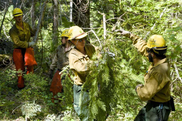 Lightning sparks new wildfires in Mount Rainier NP, ranger cabin threatened