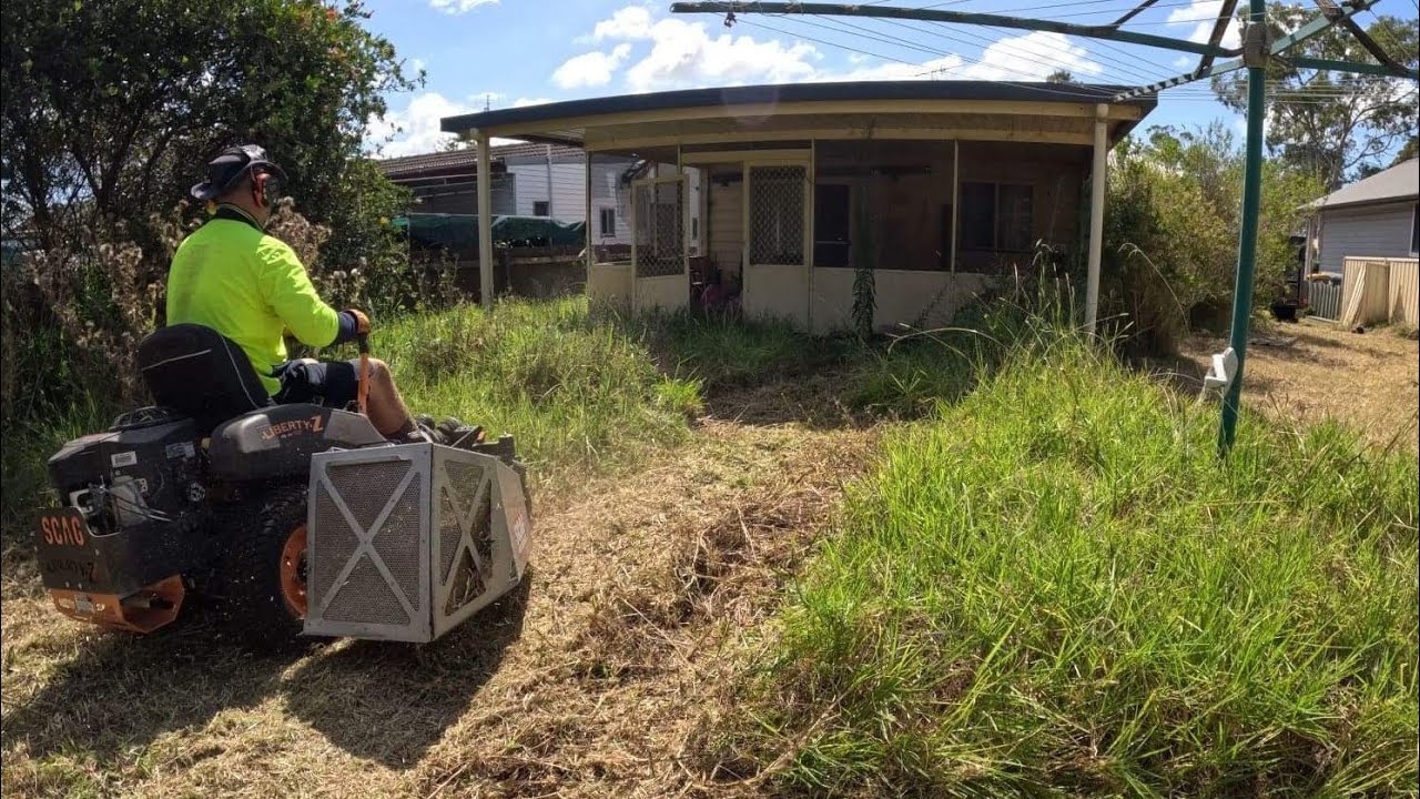 This yard was completely out of control, then one man took it on