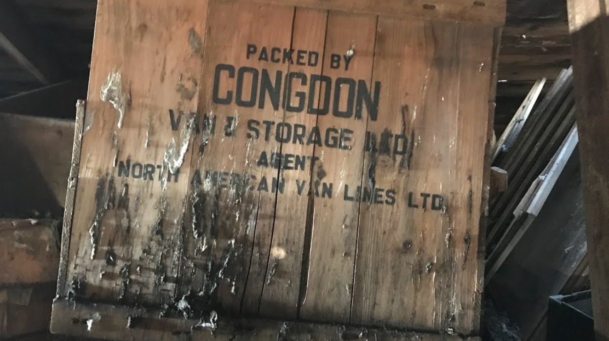 Exploring an attic full of antique treasures