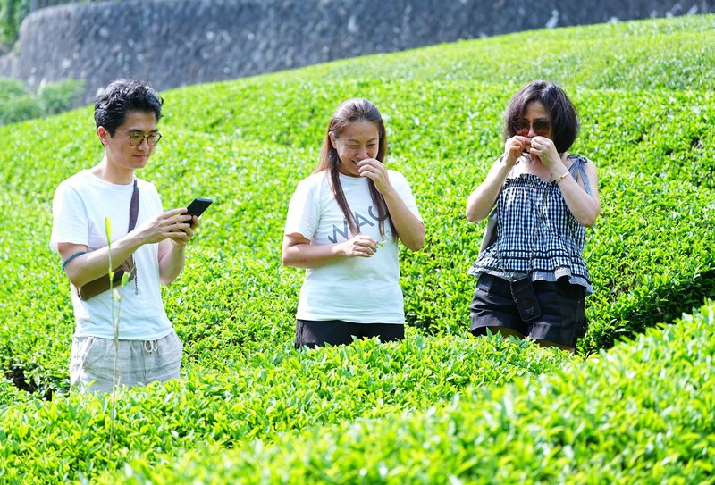 Masae Shinjo, center, of Matcha Tourism explains about tea leaves to participants from the United States on a tea tour in Wazuka, Kyoto Prefecture, on July 22, 2026. (Mainichi/Ririko Maeda)