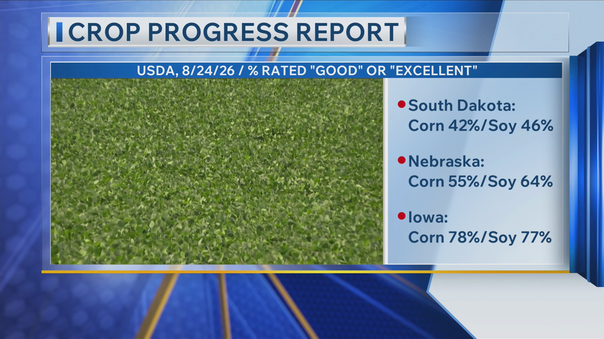 USDA crop progress report 8/24/26