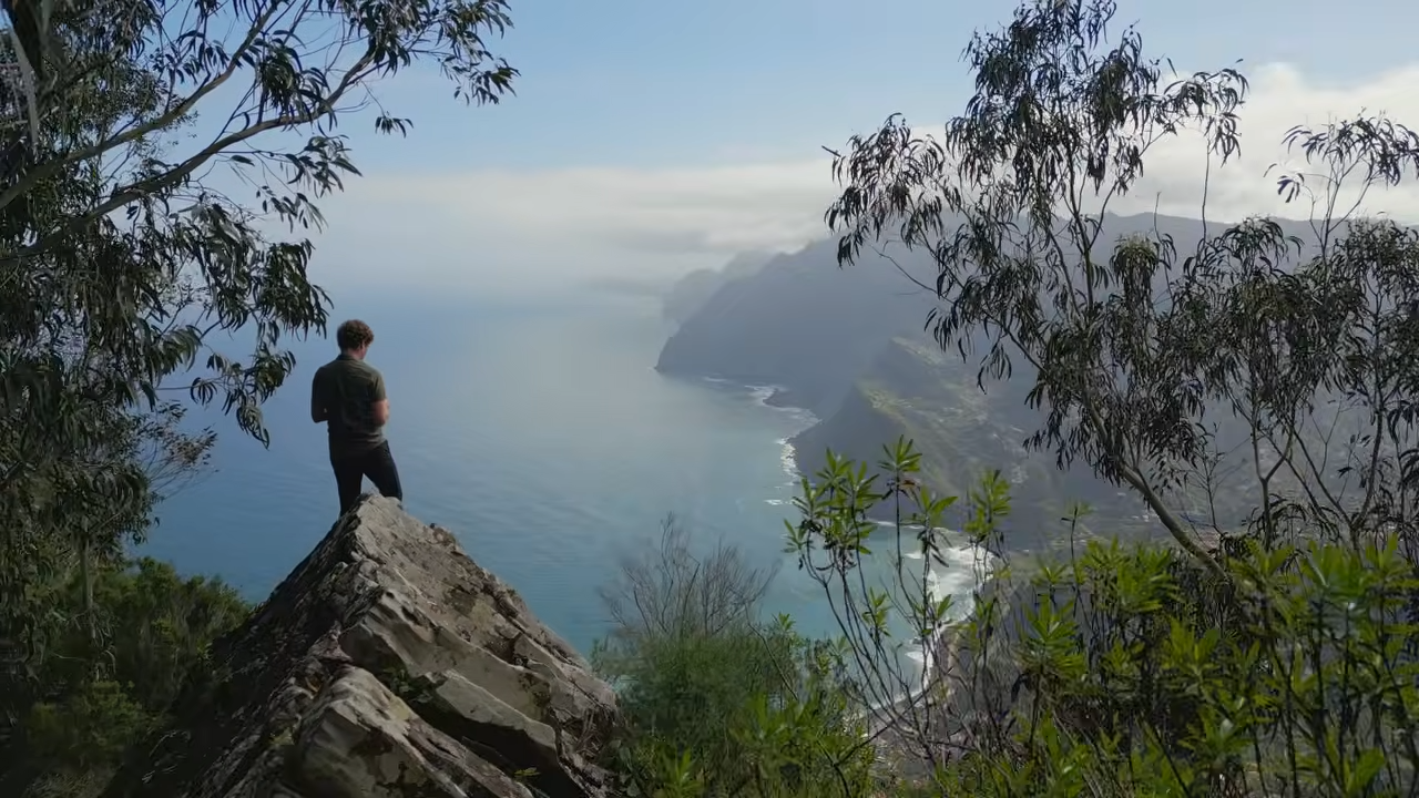 Madeira inflation in real time: Prices rising faster than an expat's ...