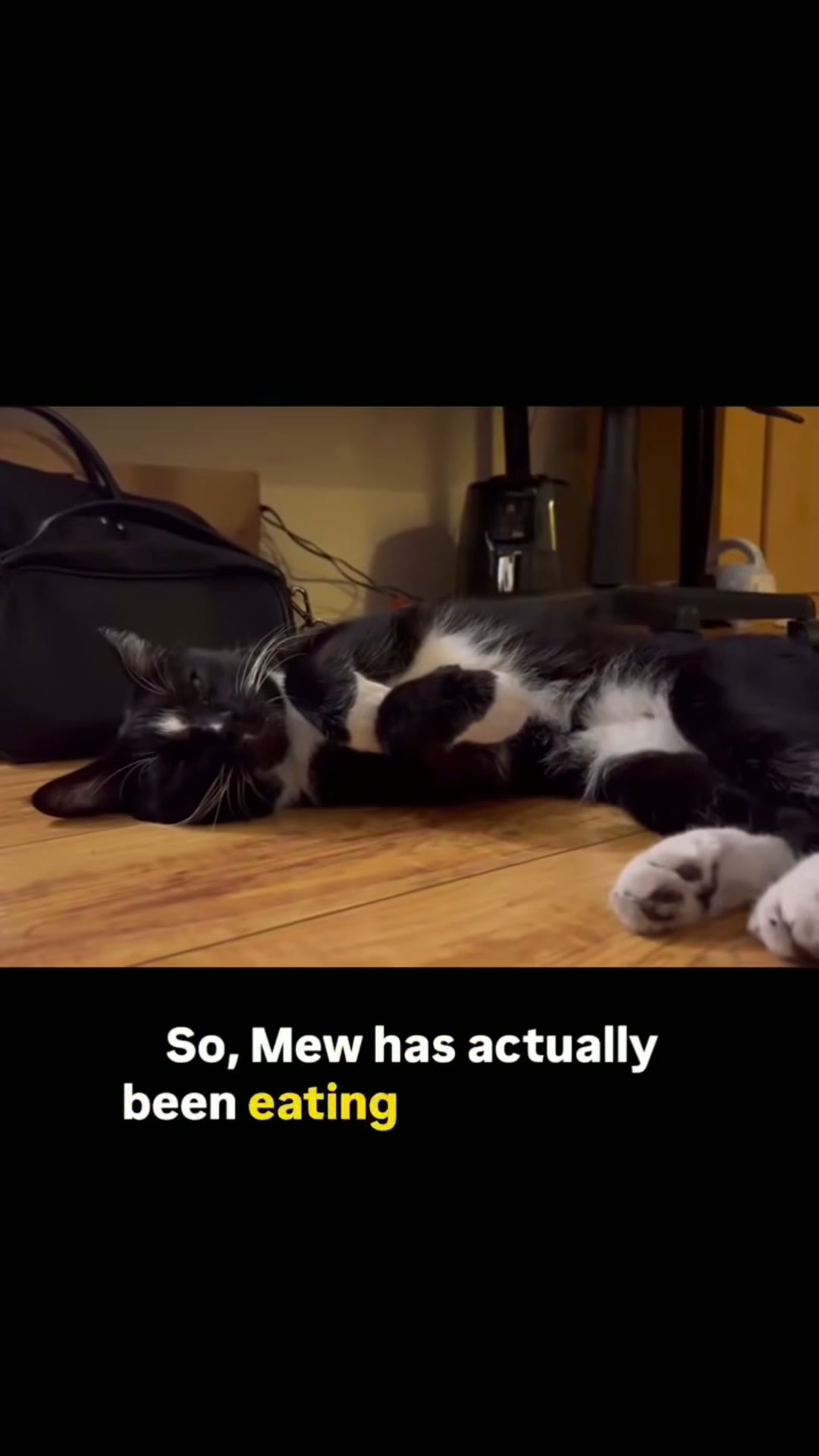 We were asked by multiple people about Mew's current update so here's a ...