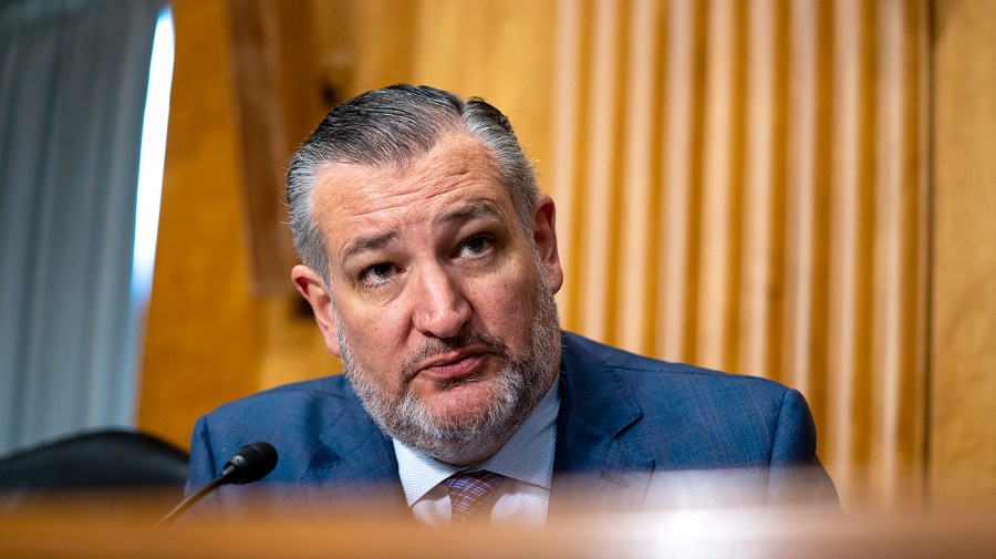 Cruz says GOP hasn’t coalesced behind Vance for 2028 nomination: 'Oh, no'