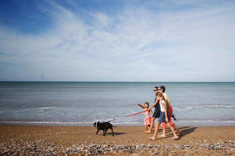 sussex-seaside-spot-named-one-of-britain-s-best-beaches-for-dogs