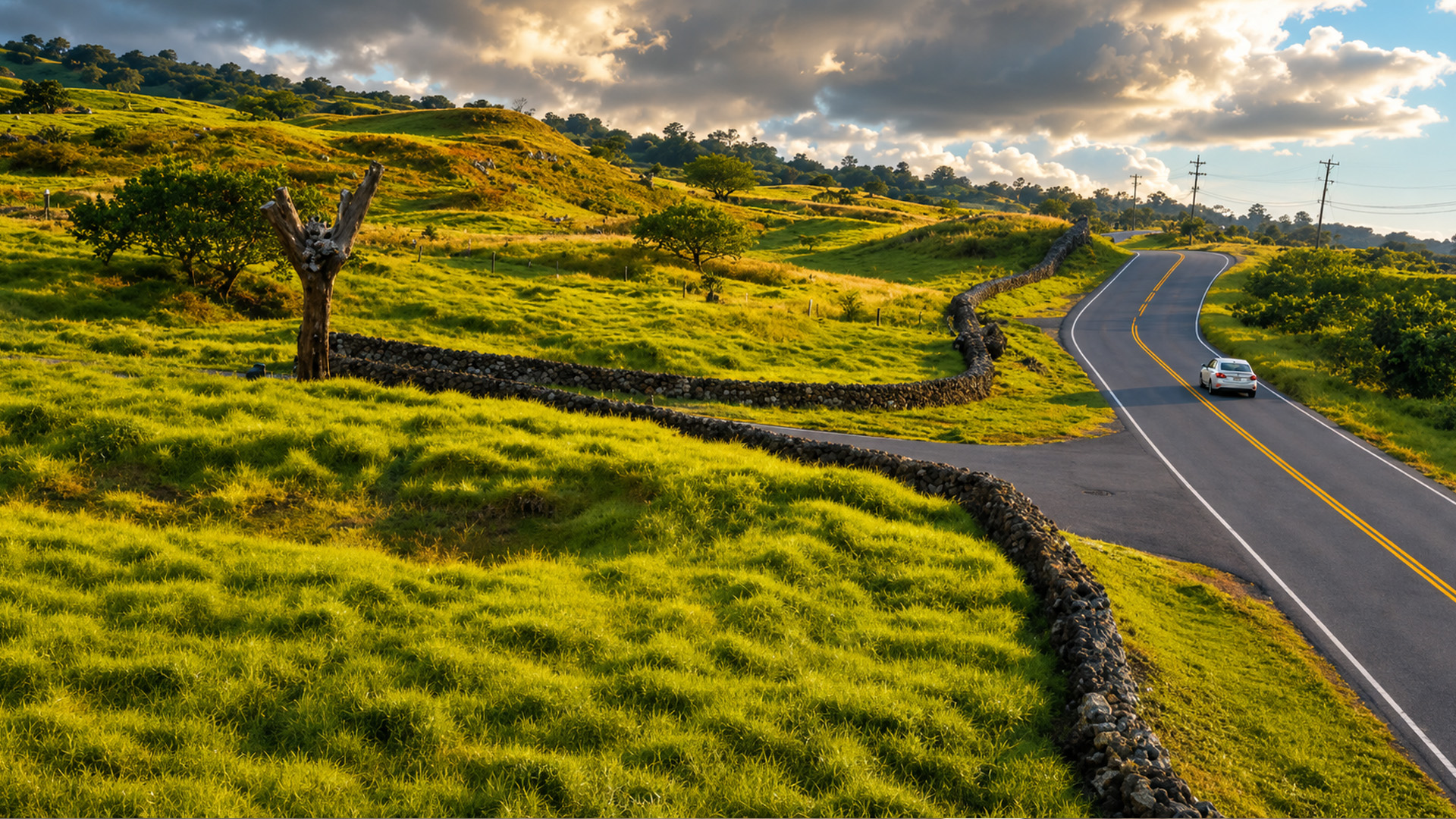 A winding road cutting through Maui’s tropical hills