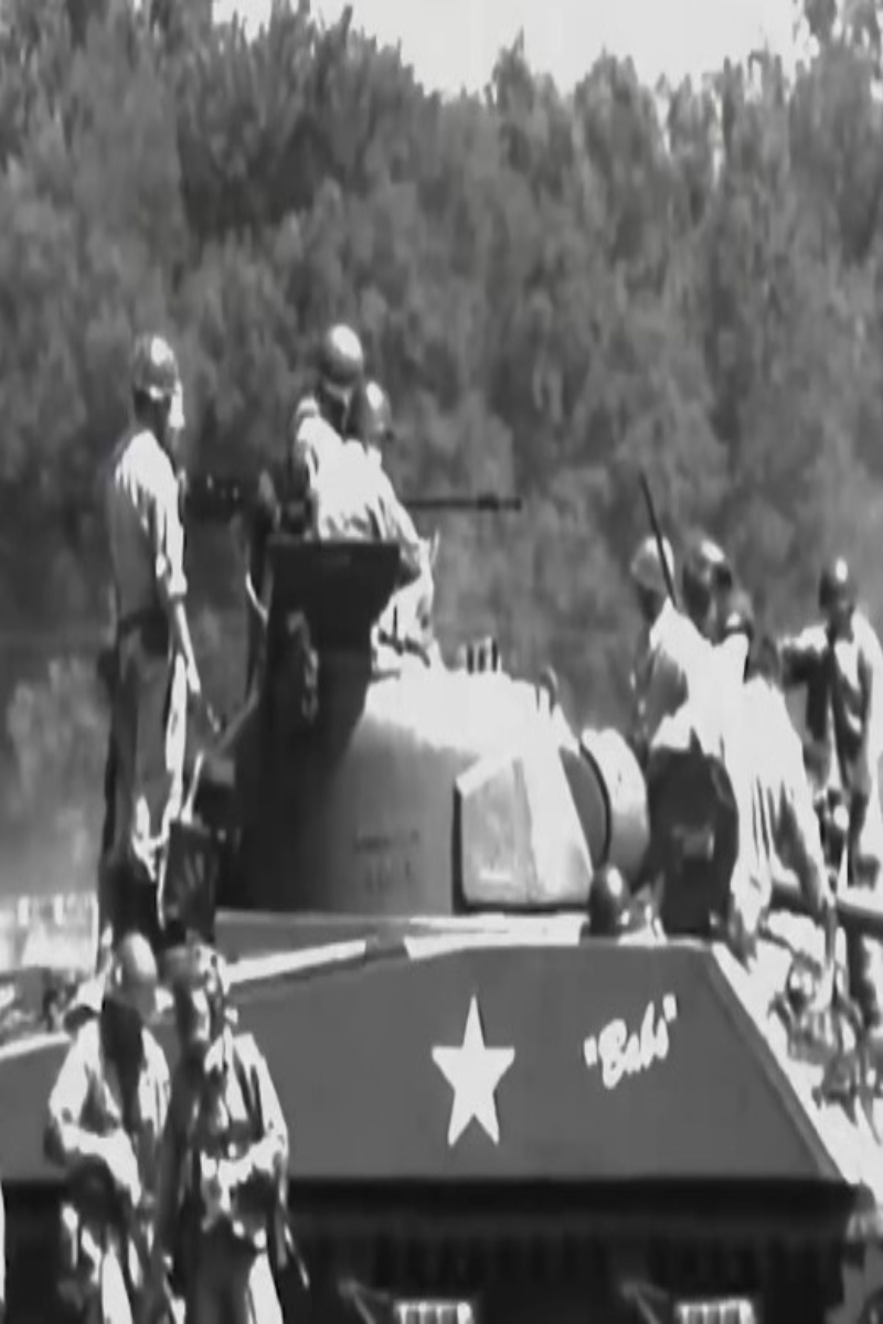 Wojtek the bear, a World War II hero