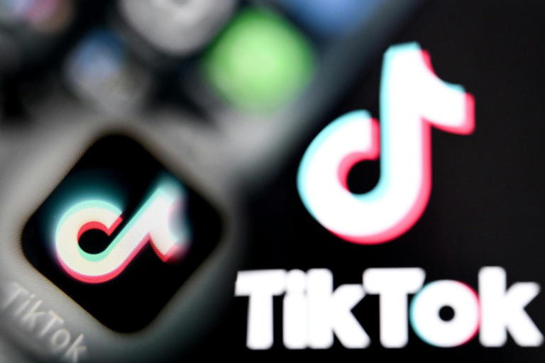 Brazil has taken a tough stance on the regulation of social media platforms, cracking down on disinformation and requiring users under 16 to have their accounts linked to those of their parents