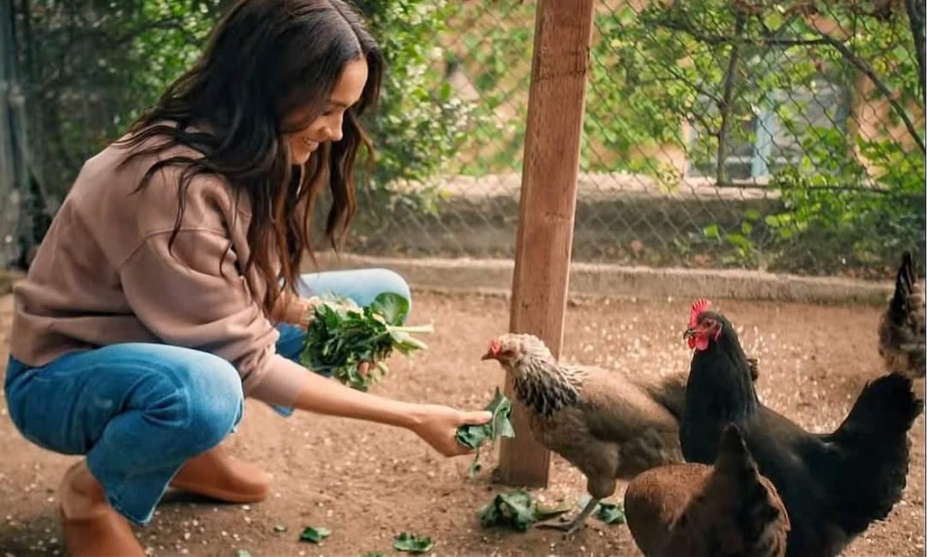 Meghan shares cryptic post about her chickens after reports Sussexes will leave birds in Montecito