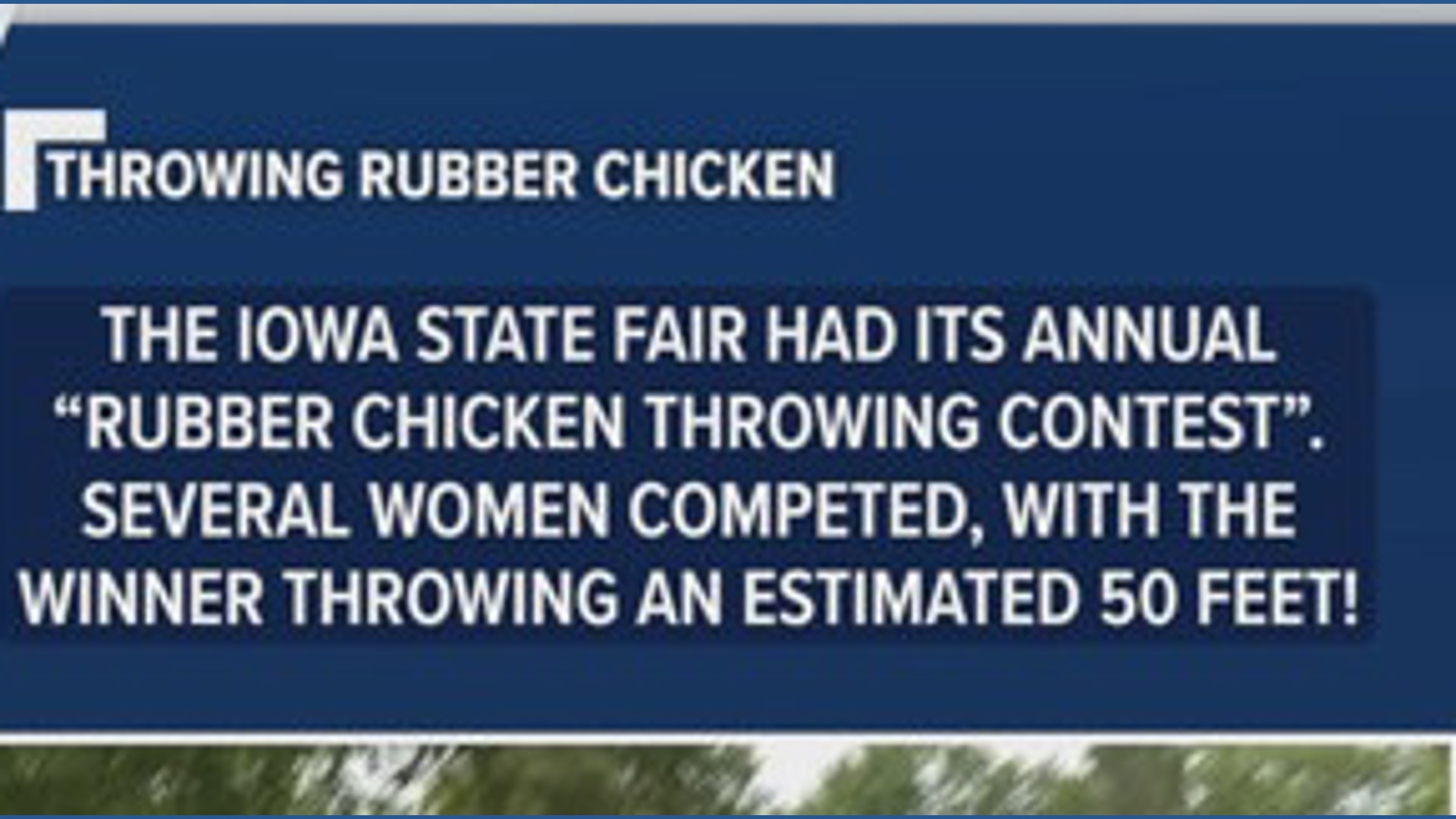 Iowa State Fair brings back 'Rubber Chicken Throwing Contest'
