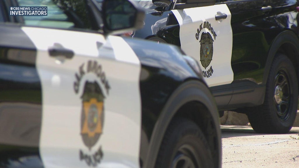 Oak Brook police officers use new Grappler technology to catch fleeing van