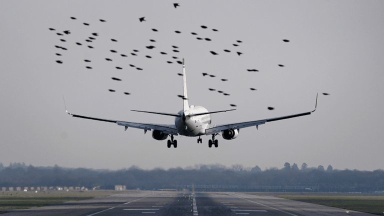 Plane landing at Gatwick | Source: PA