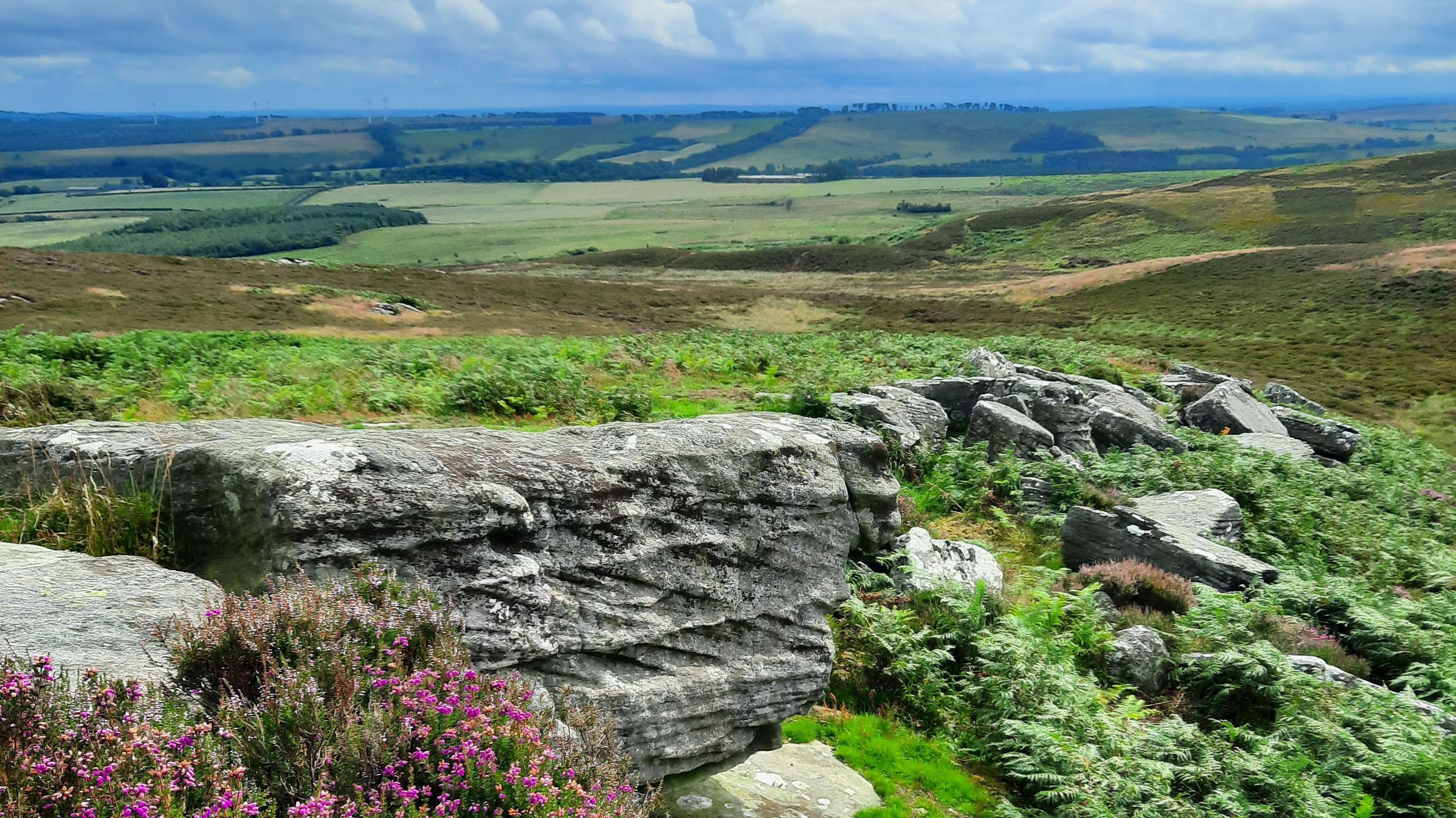 Donation extension in £30m bid for estate