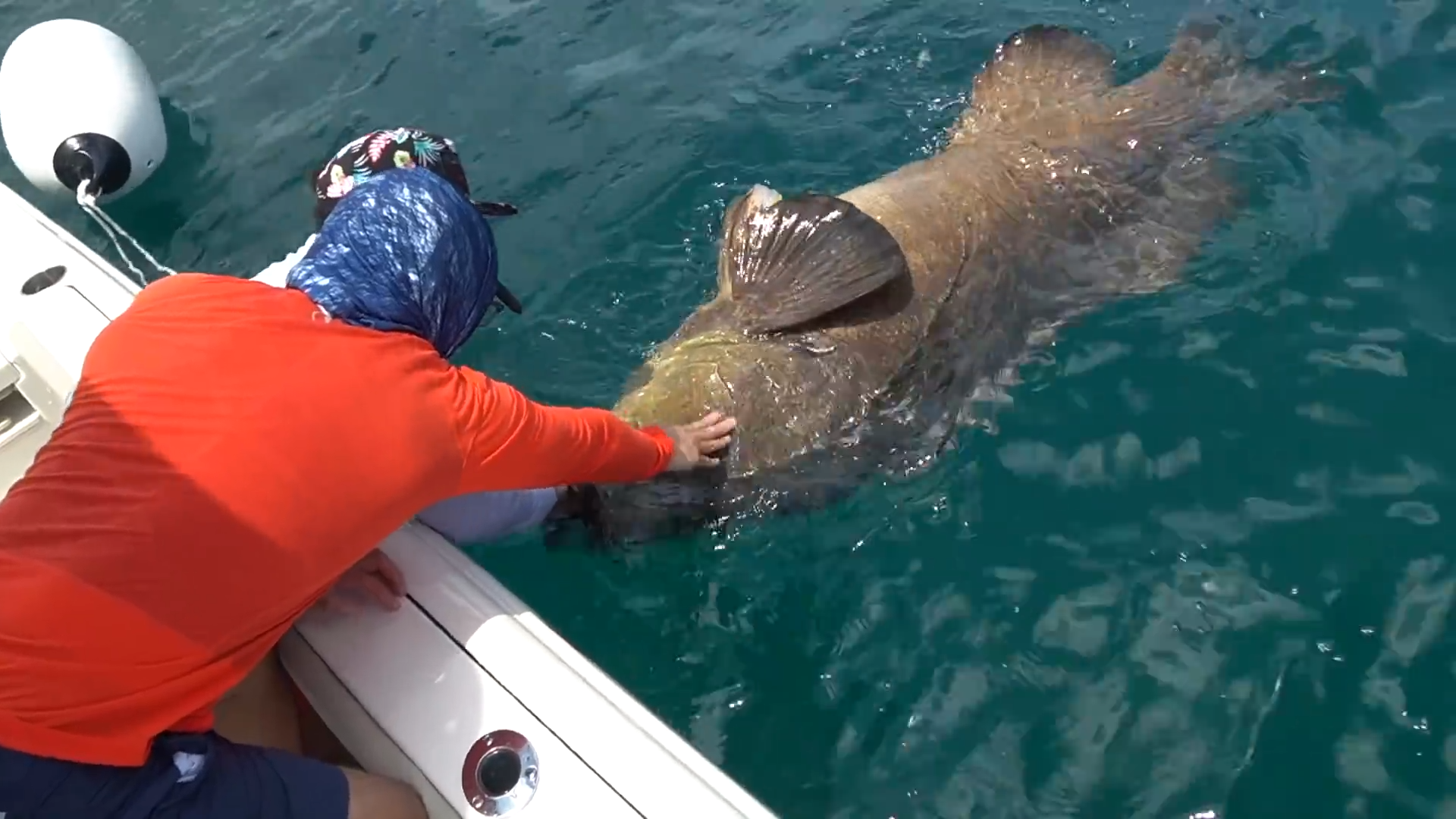 They thought they were smart dropping giant bait in the ocean... A ...