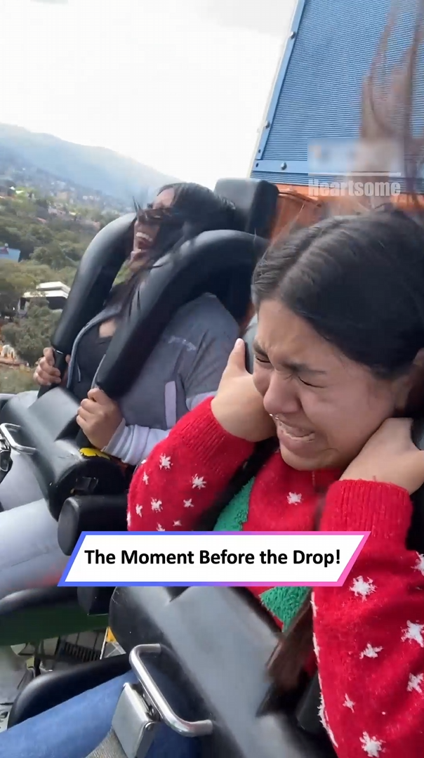 Girl faces sudden roller coaster drop