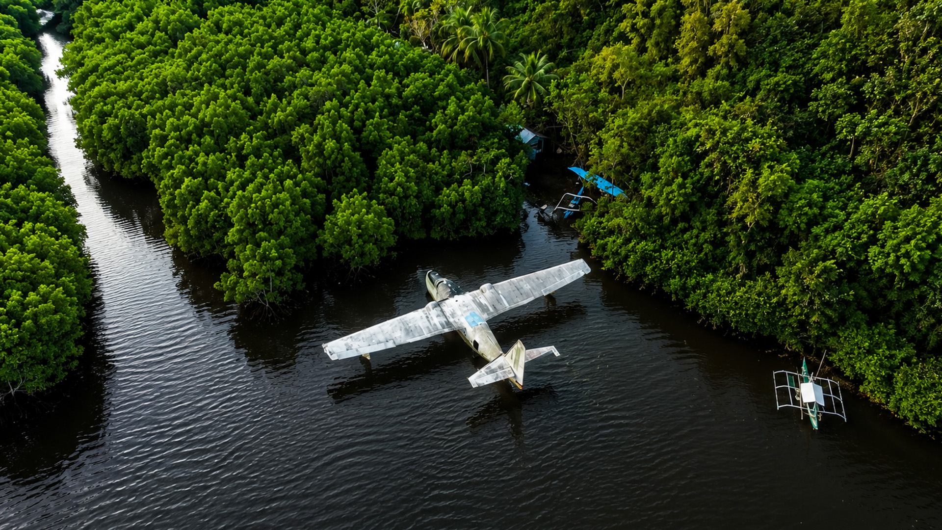 Why was this aircraft left inside the mangroves?