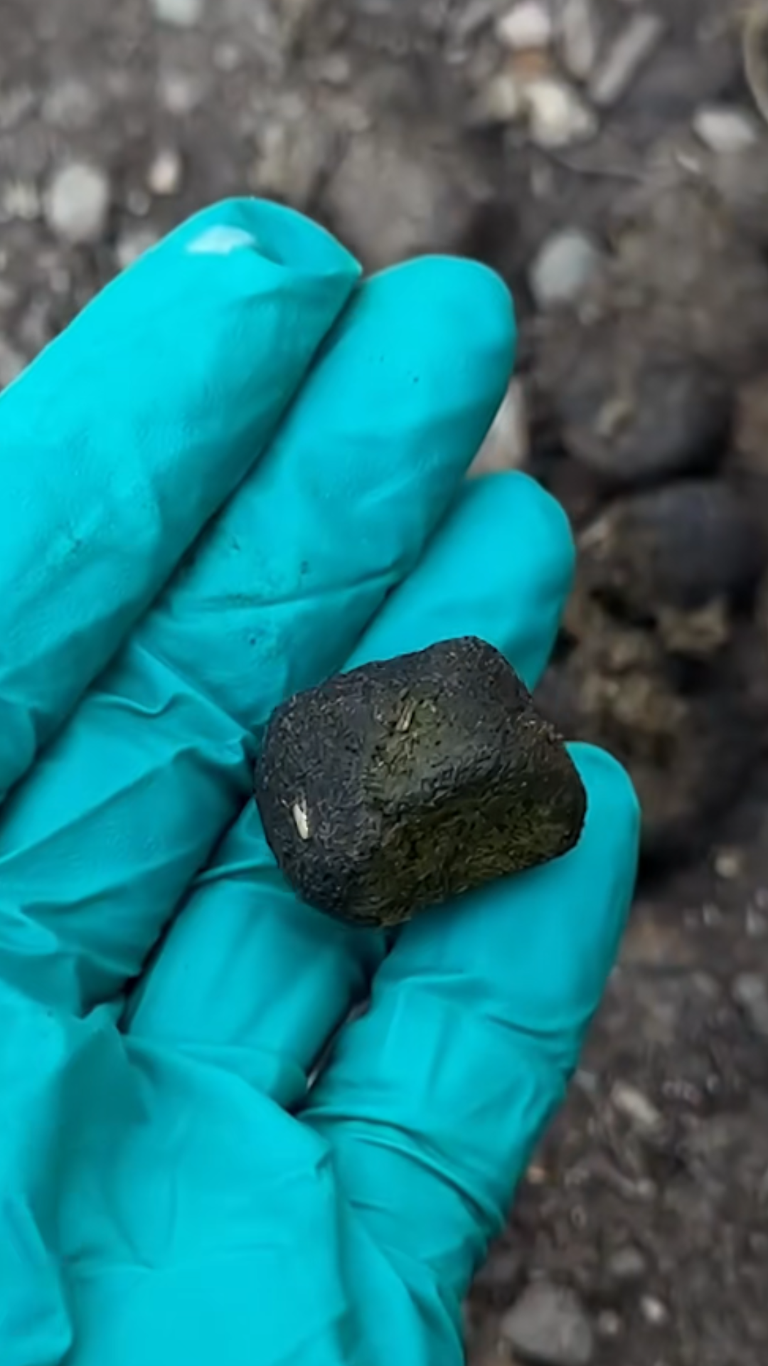 The science behind wombat cube poo