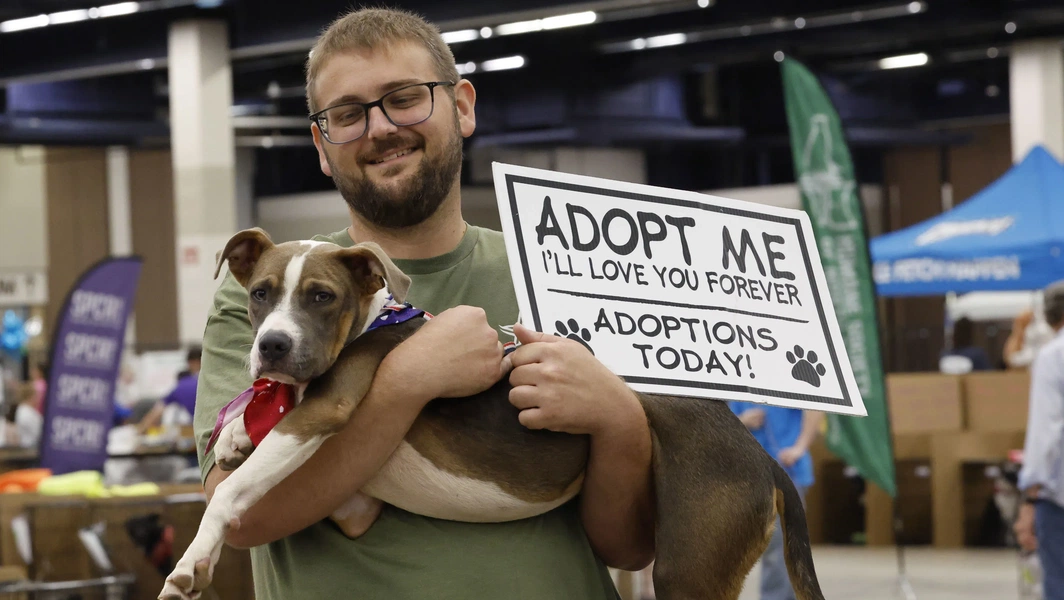 Smooth transitions for rescue dog adoptions