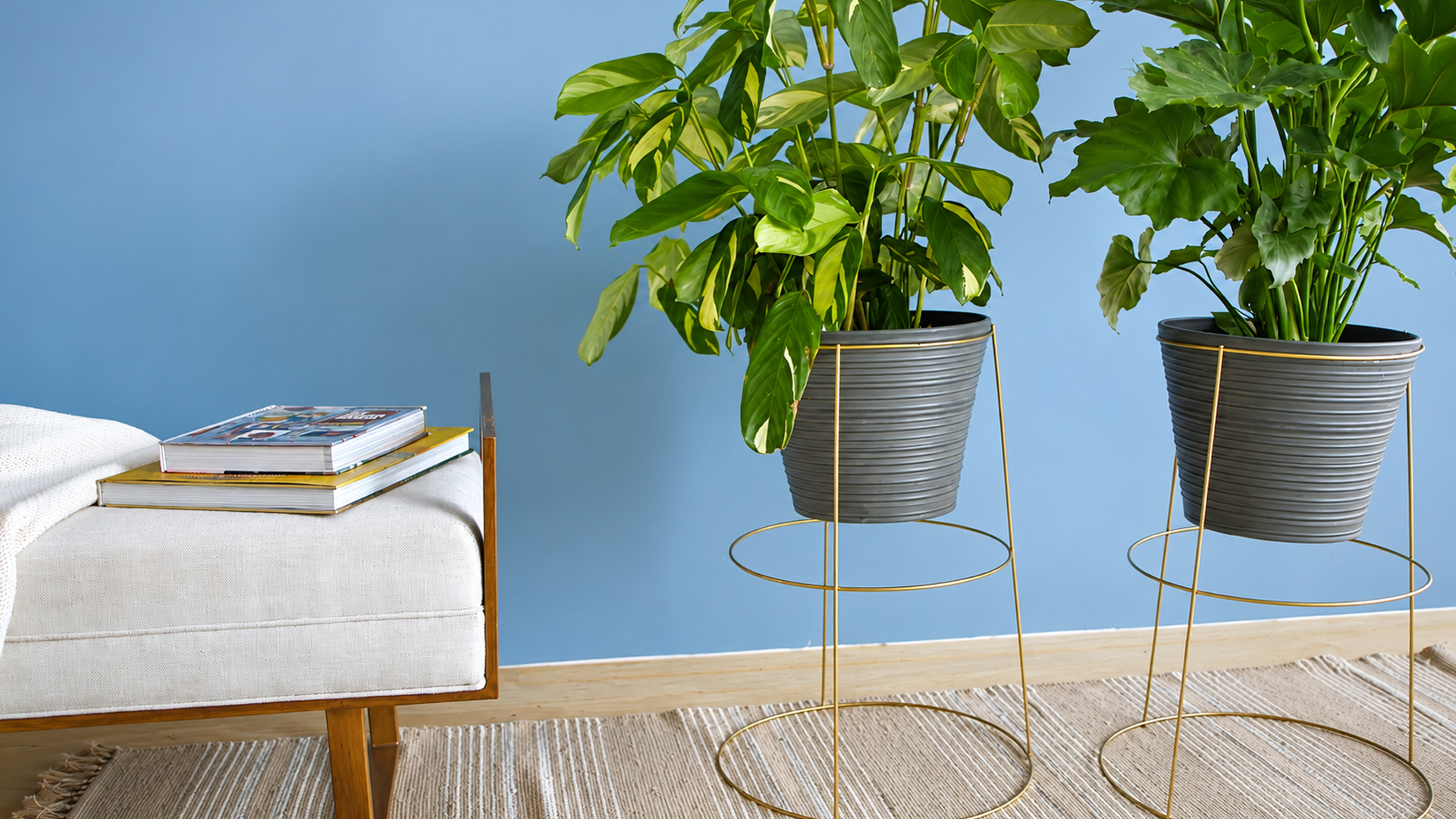 Create a designer-inspired plant stand using simple garden supplies