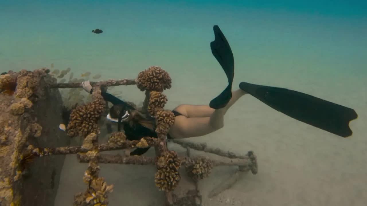 Cone snail in her hand. Strong current offshore. Then her fin got ...