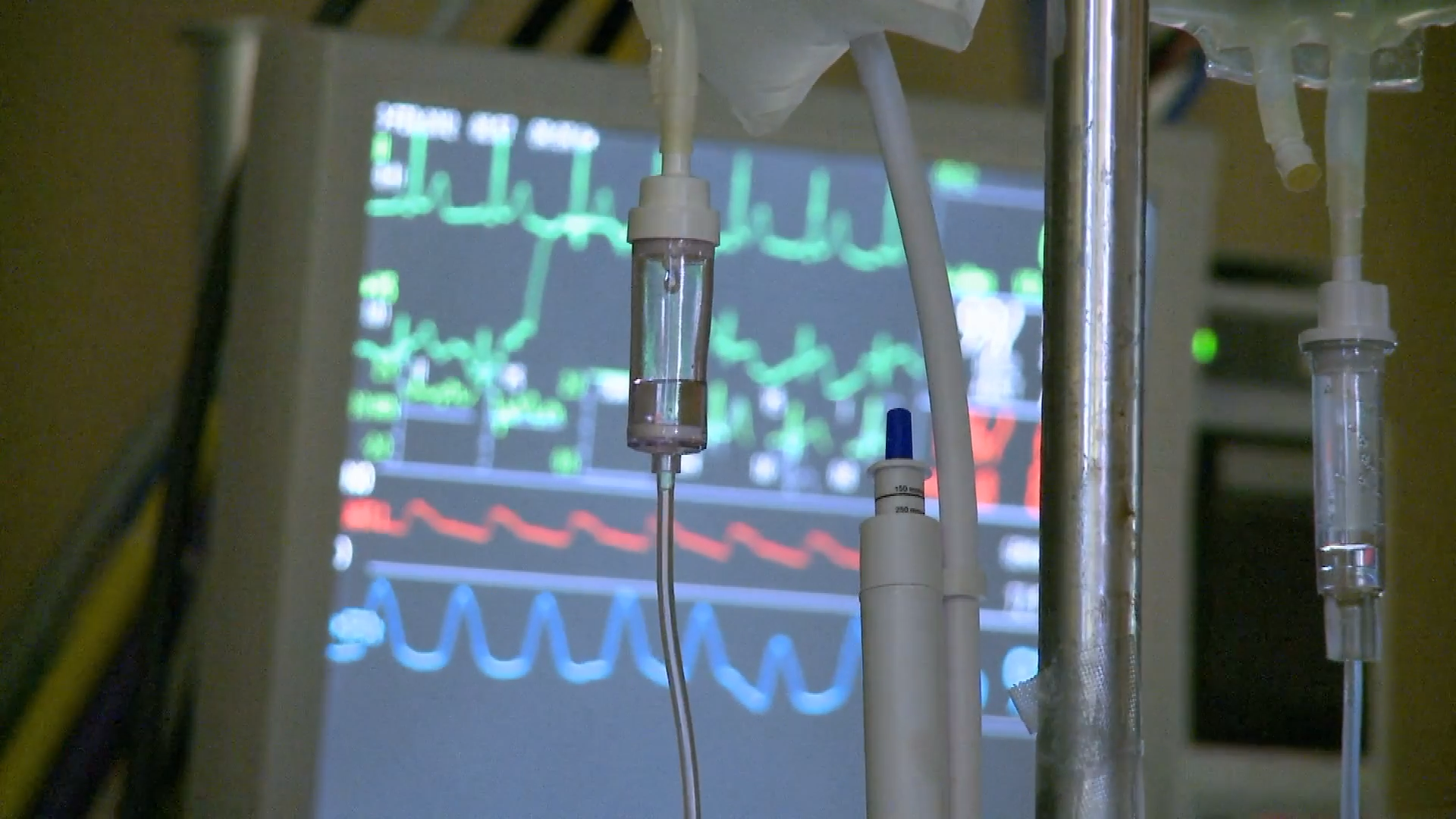 Medicaid work requirements set to take effect in over 40 states by end ...