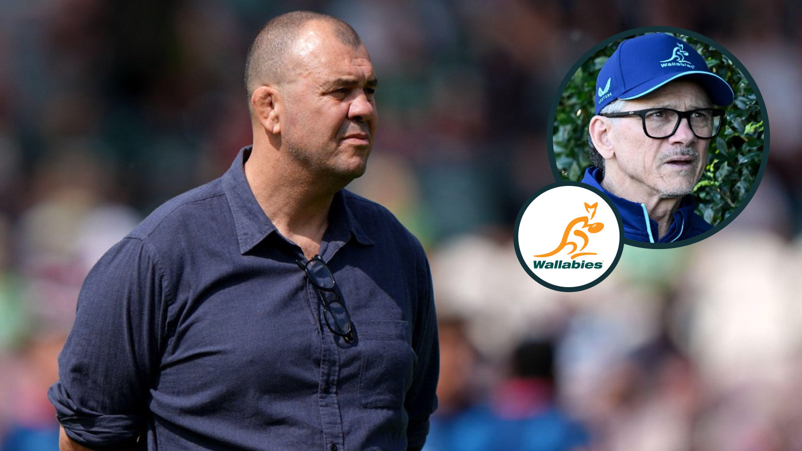 ‘I'll tap into some of his experiences' – Les Kiss reveals how Michael Cheika's Waratahs return could aid the Wallabies