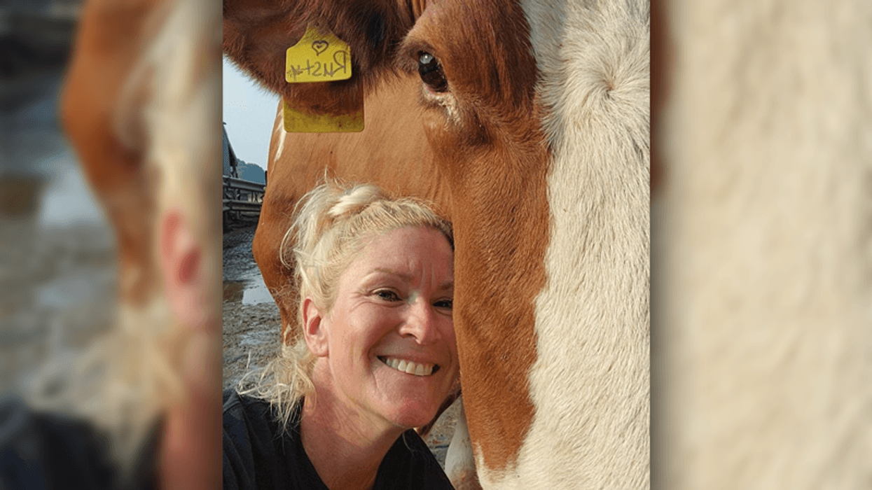 Dairy farmer whines about mean Dems after admitting MAGA policies hurt her