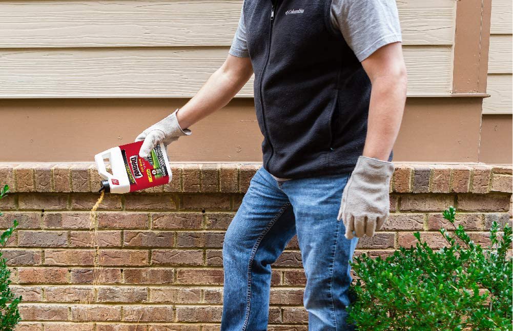 2026’s best fire ant killers for homes and outdoor spaces