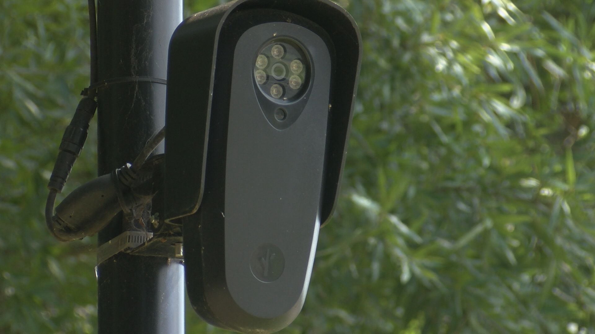 CCSD police chief holds use of Flock cameras until end of review, district says