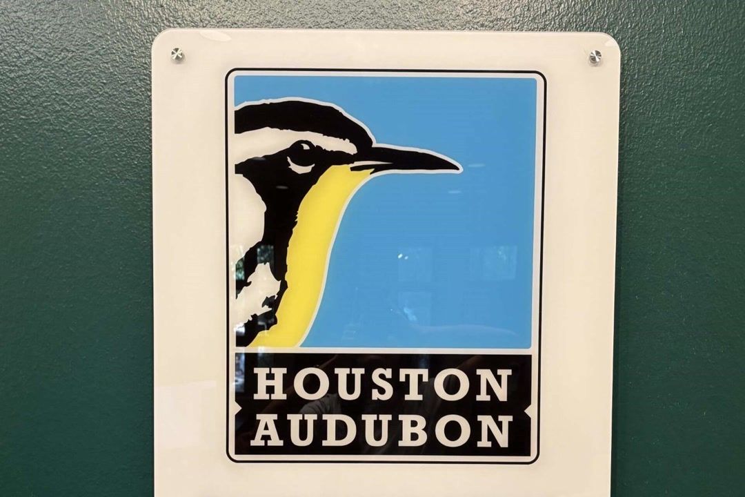 Houston bird group drops longtime name tied to controversial figure