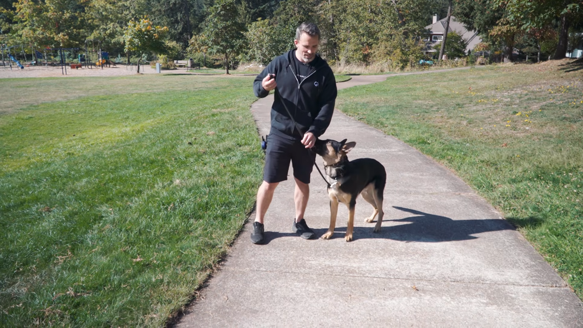 This simple boundary exercise can teach your dog never to enter the ...