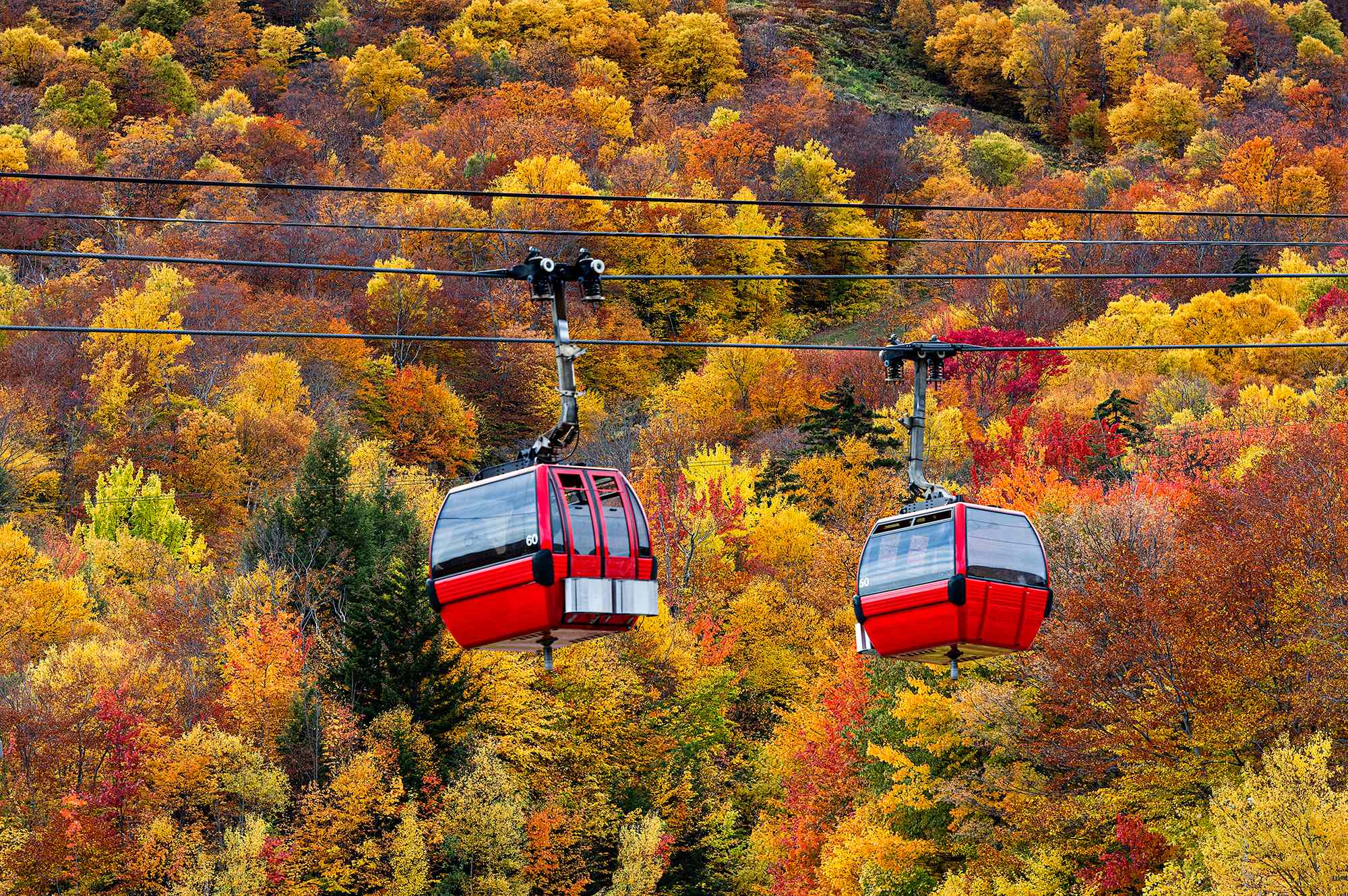 This 10-day fall train trip takes you from New England to Quebec—with ...