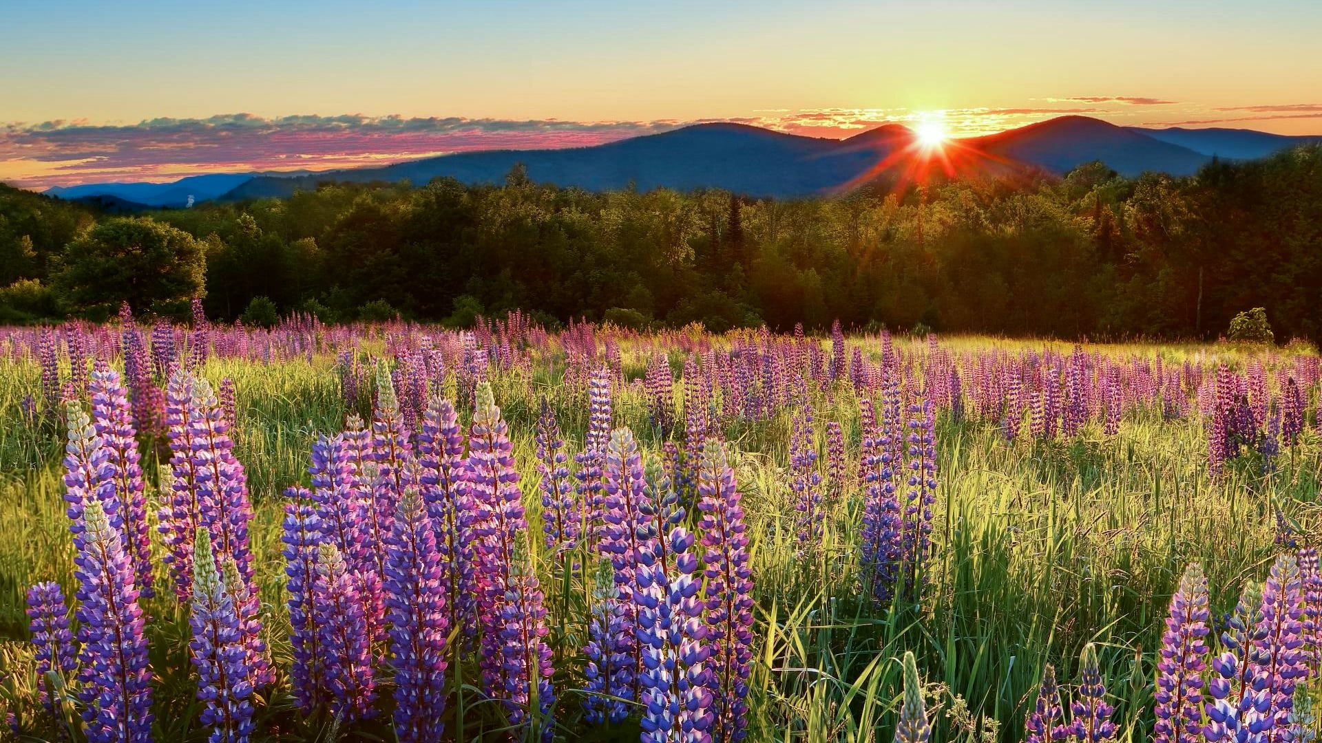America’s most naturally beautiful state may surprise you