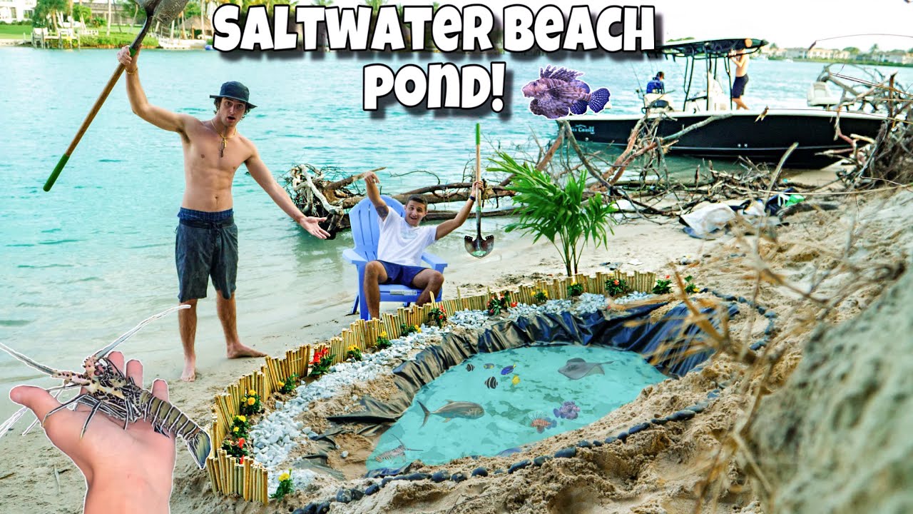 Building an insane exotic beach fish pond 2