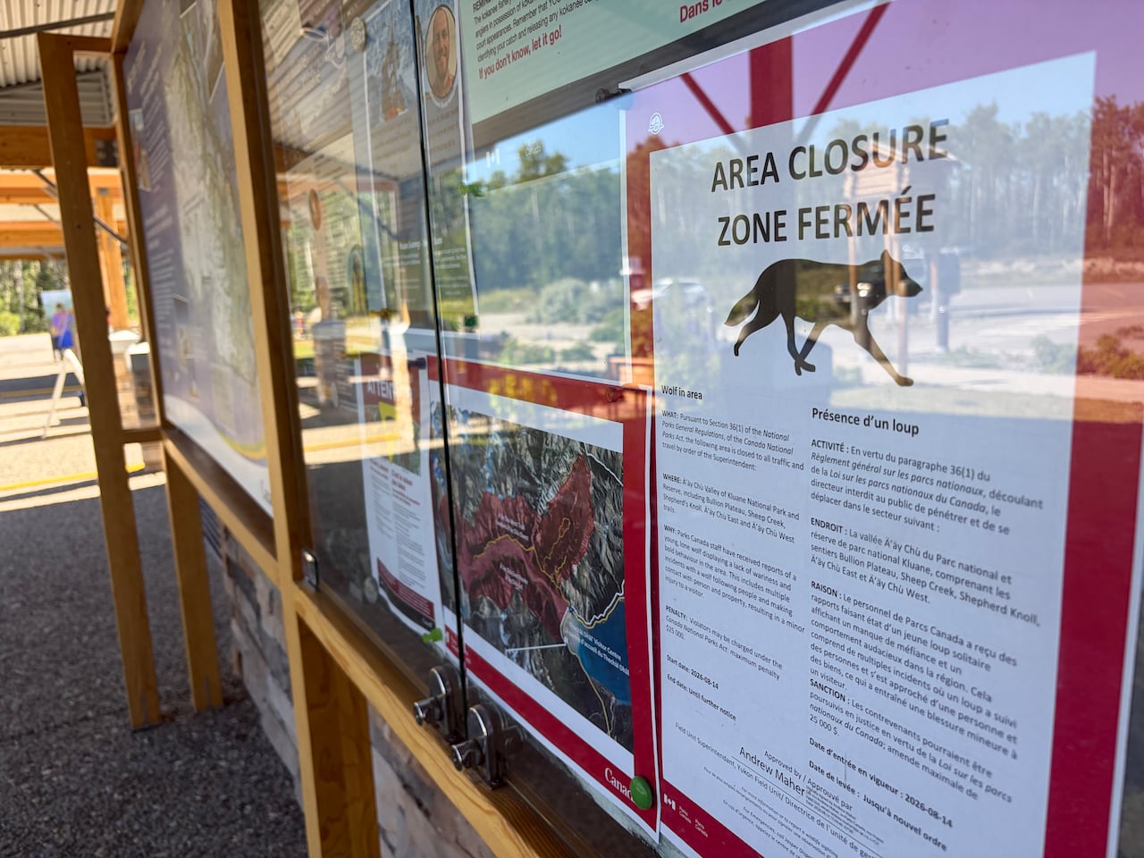 Hiking trails reopen in Yukon's Kluane National Park and Reserve after ...