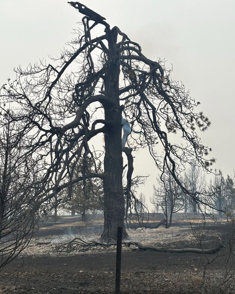 Wildfire update: 'Go now' evacuation orders expanded in Klickitat ...