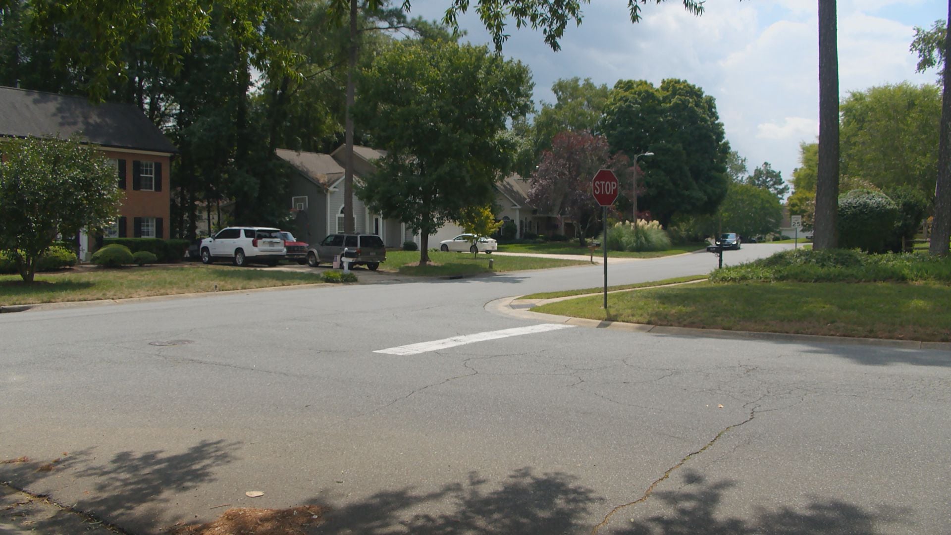 4 people injured in dog pack attack in northwest Charlotte neighborhood