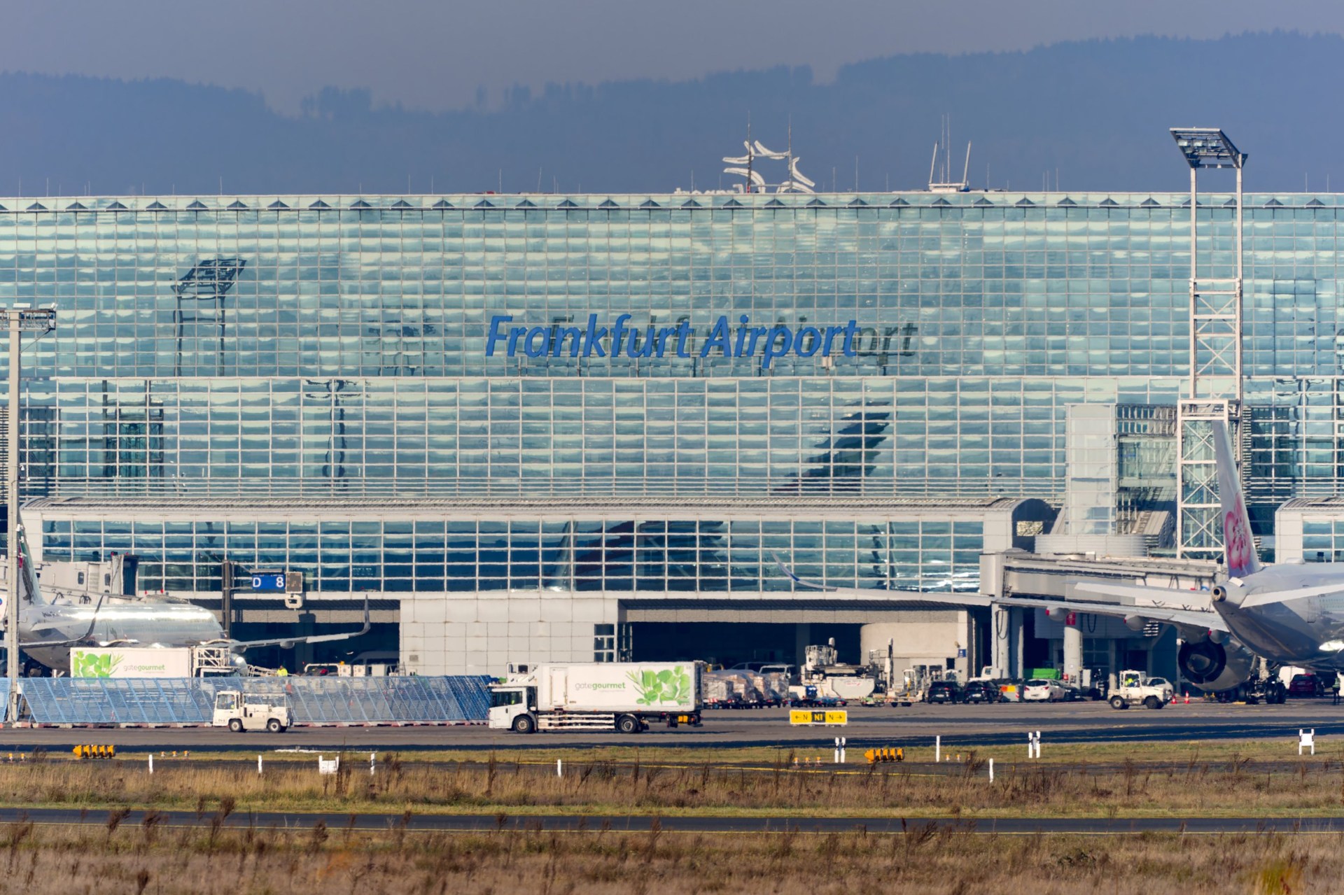 Two Frankfurt airport staff die from malaria after 'mosquitoes brought ...