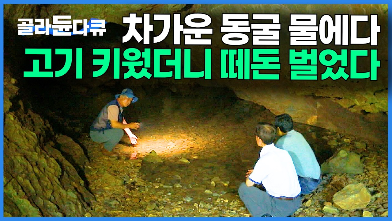 한여름에도 얼음장 같은 동굴 물 퍼다가 고기 키웠는데 떼돈 번 남자｜송어 양식｜한국기행｜#골라듄다큐