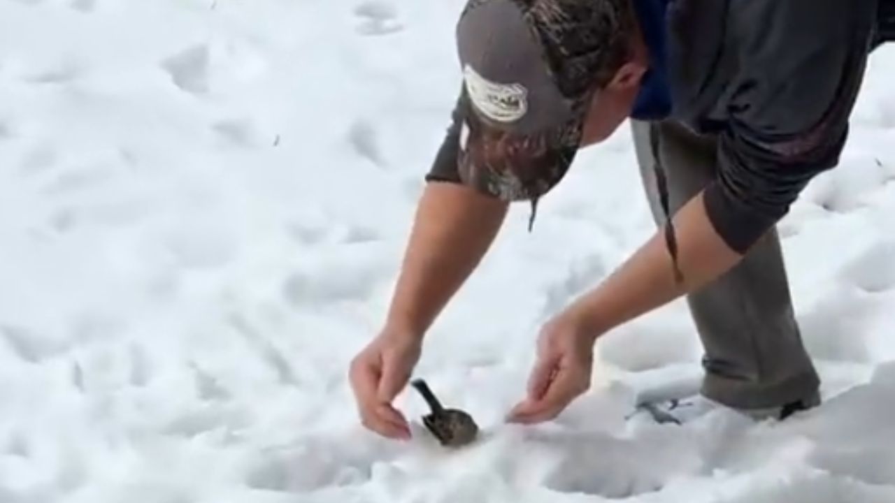 Couple's compassion leads to remarkable bird rescue and rehabilitation