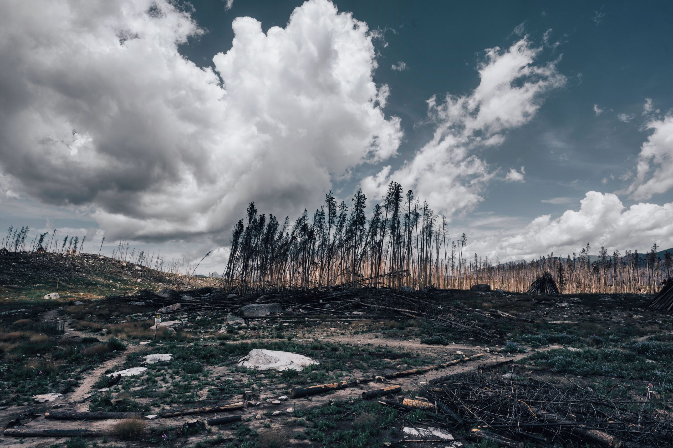16,000 people die in Europe due to climate change