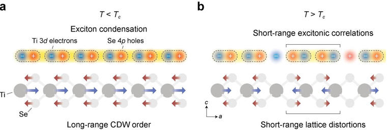 Ultrafast core-level spectroscopy reveals elusive precursors of exciton ...