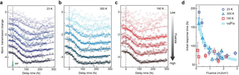 Ultrafast core-level spectroscopy reveals elusive precursors of exciton ...