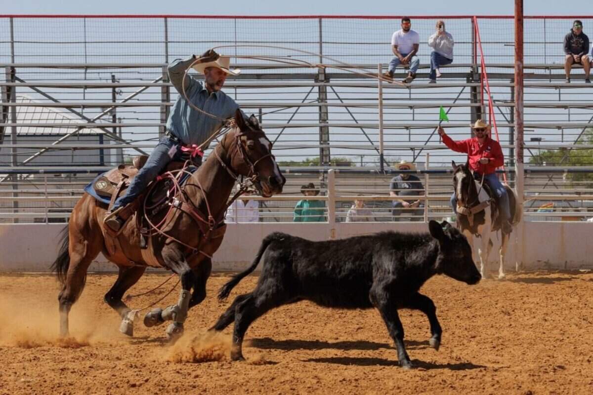 The first St. Helena Island pro rodeo is set for November. Here's what ...