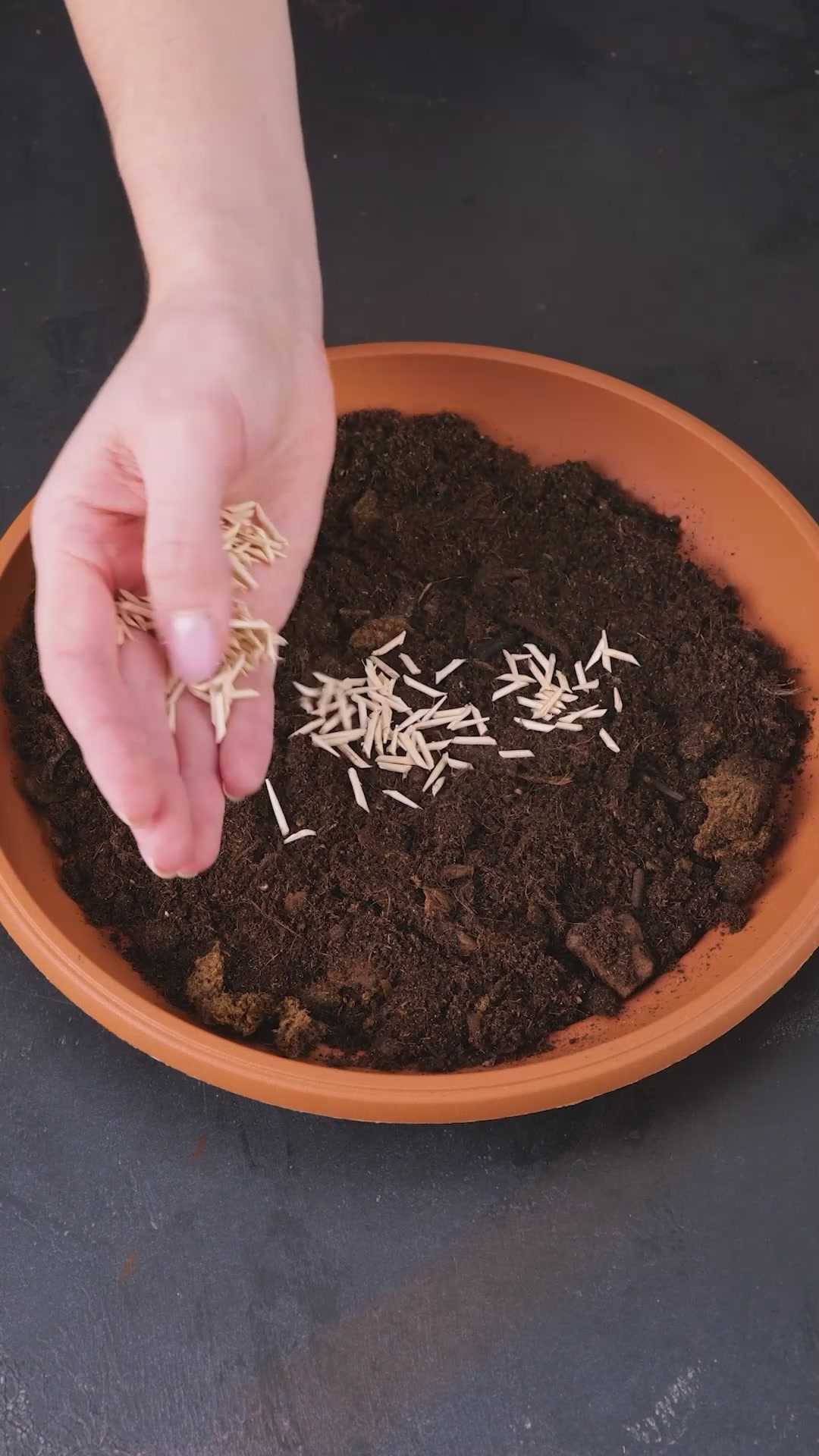 Creative gardening tips to boost your plant growth skills