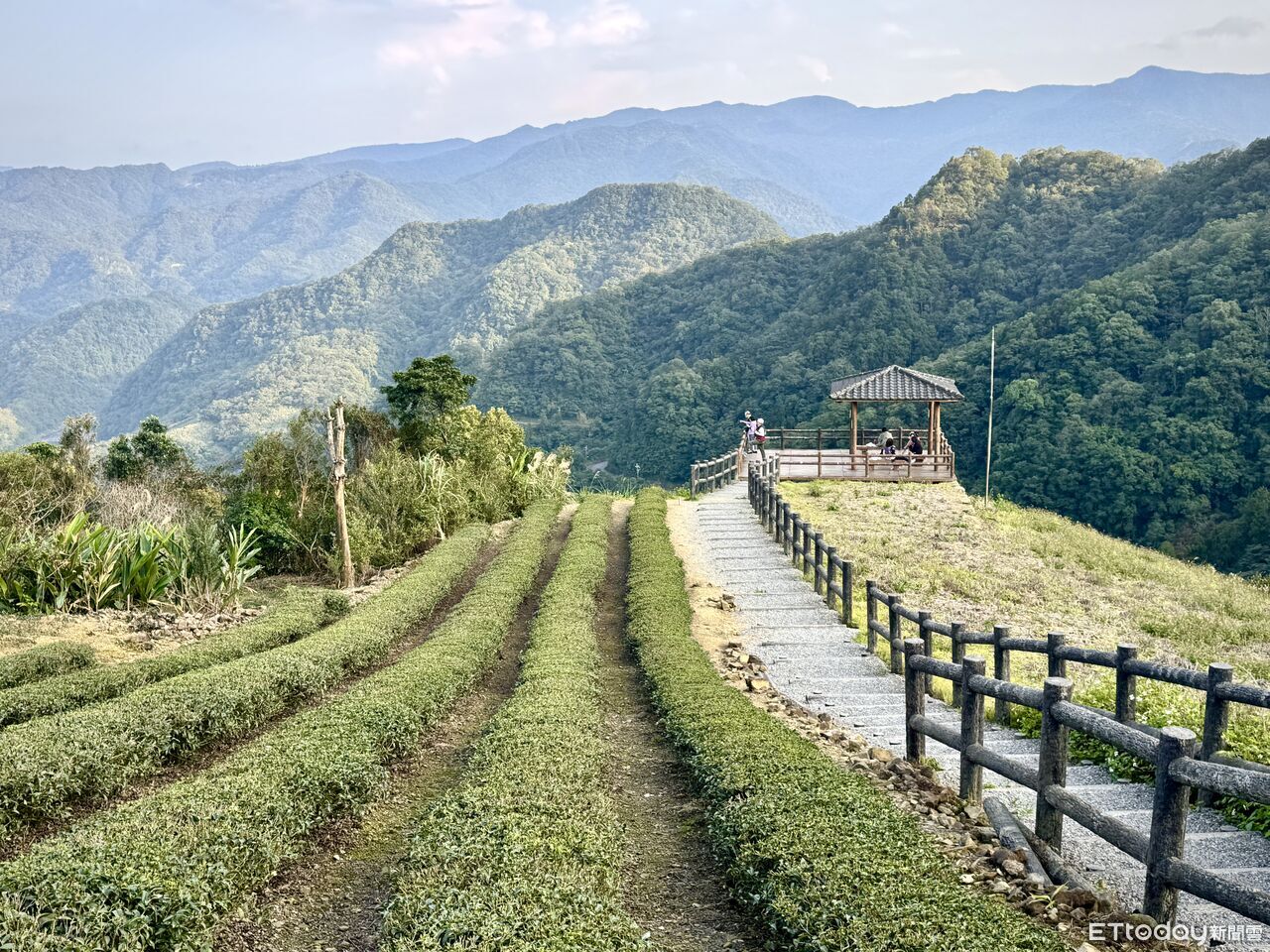 坪林南山寺「5分鐘到觀景台」360度俯瞰山景、老街吃茶香霜淇淋