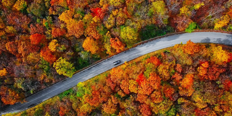 New map reveals the best time to see beautiful fall foliage across America